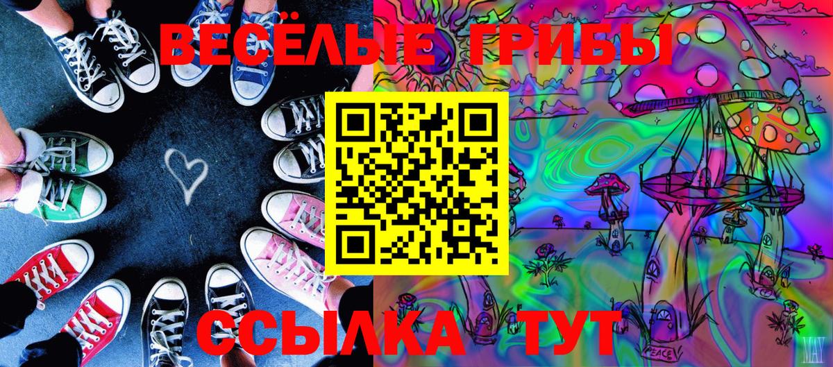 Галлюциногенные грибы GOLDEN TEACHER  Бугульма  Псилоцибиновые грибы мухоморы 