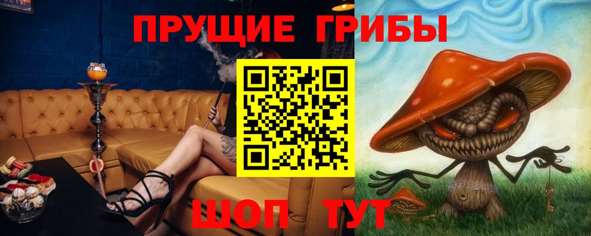 Галлюциногенные грибы Psilocybine cubensis  Вход с VPN  Бугульма 